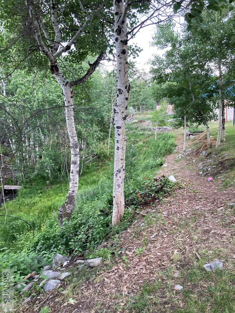 Trail to creek frontage
