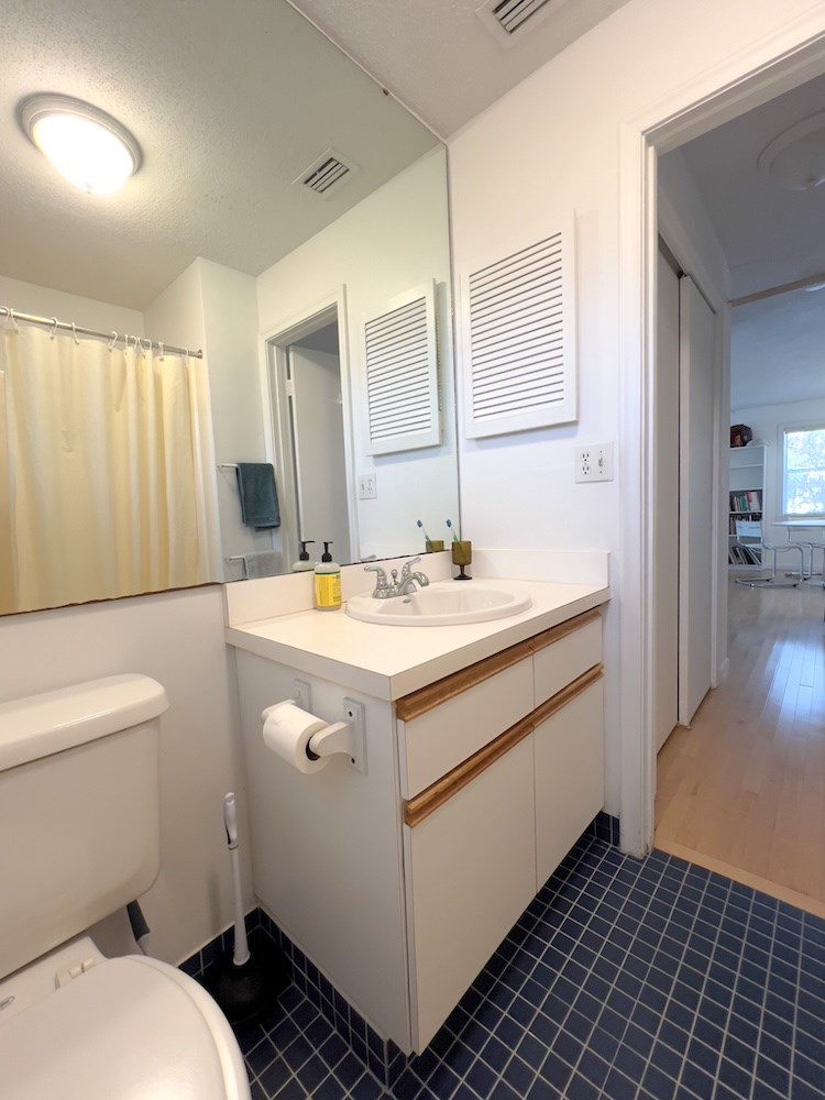 Bathroom with Linen Closet in Hall