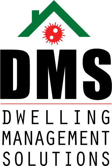 Logo3.PNG