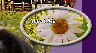 About Me