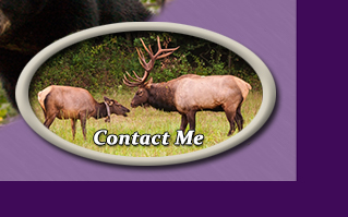 Contact Me