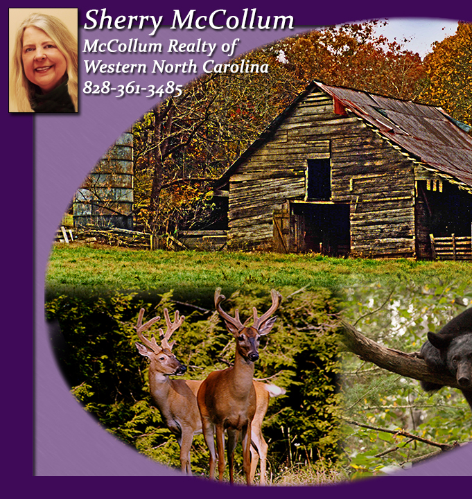 Sherry McCollum
McCollum Realty of Western North Carolina