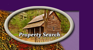 Property Search