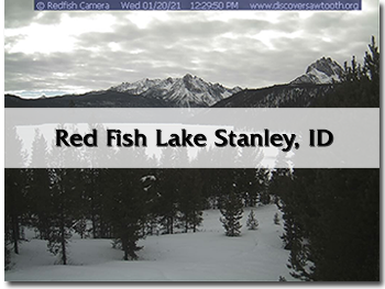 redfishwebcam