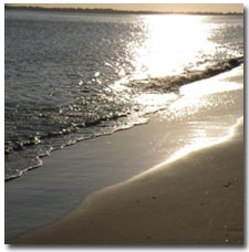 Chincoteague Island Real Estate