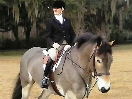 horse