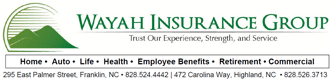 Wayah Insurance Group