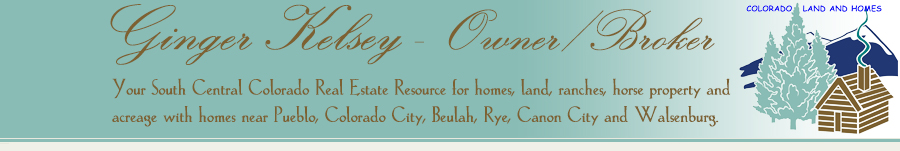 Colorado City Homes for Sale. Real Estate in Colorado City, Colorado – Ginger Kelsey
