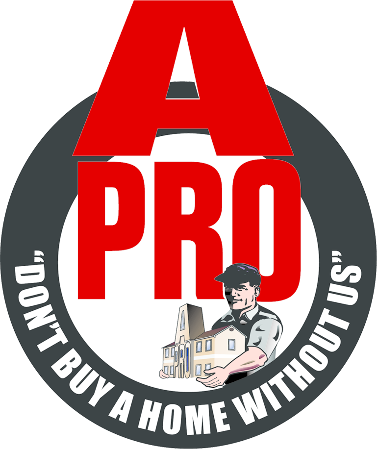 a-pro-home-inspection-cut-out.png a-pro-home-inspection-cut-out.png