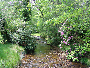 lake toxaway