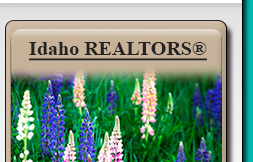 Idaho Realtors