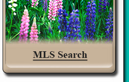 MLS Search