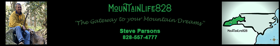 Steve Parsons, Real Estate Broker - MountainLife828