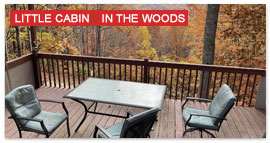 Little Cabin in the Woods