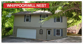 whippoorwill nest