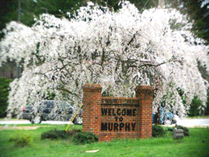 Real Estate in Murphy North Carolina