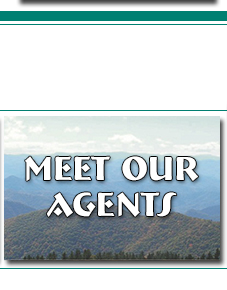 Meet Our Agents