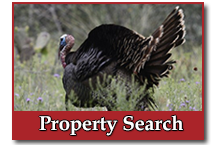 Property Search