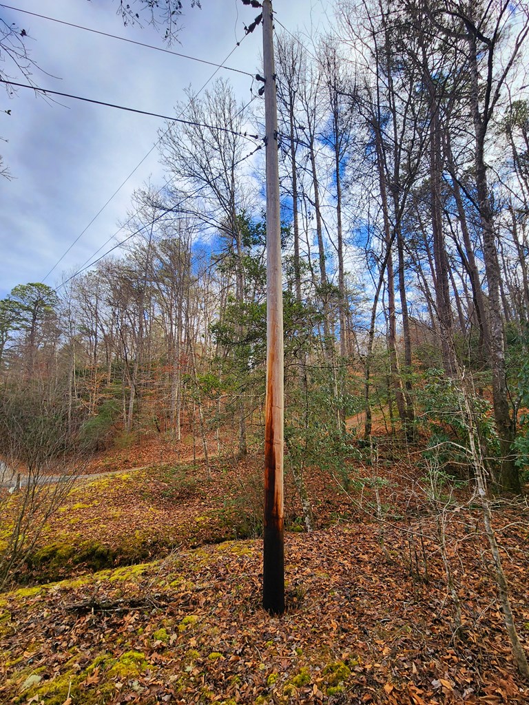 Power pole at bottom of property