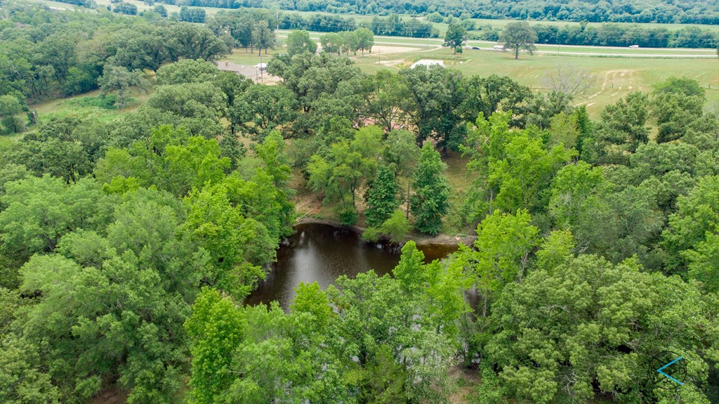 Aerial View of Pond 2