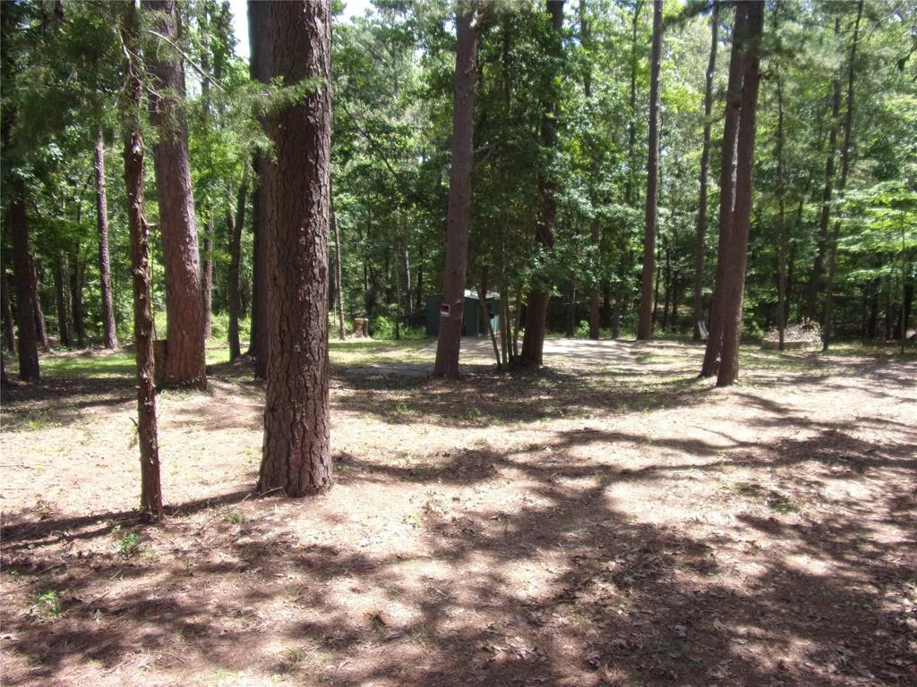 view of shaded lot