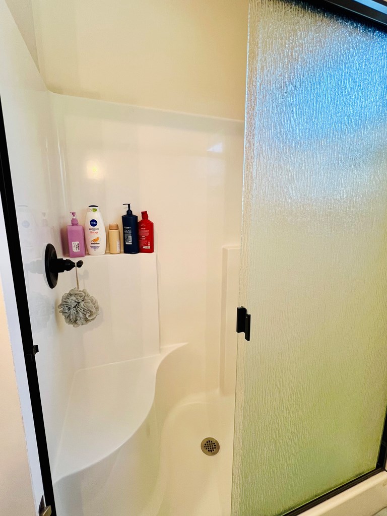 LARGE SHOWER WITH GLASS DOORS