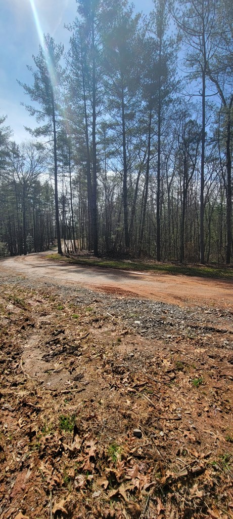 Headwaters Road on front of the Lot.