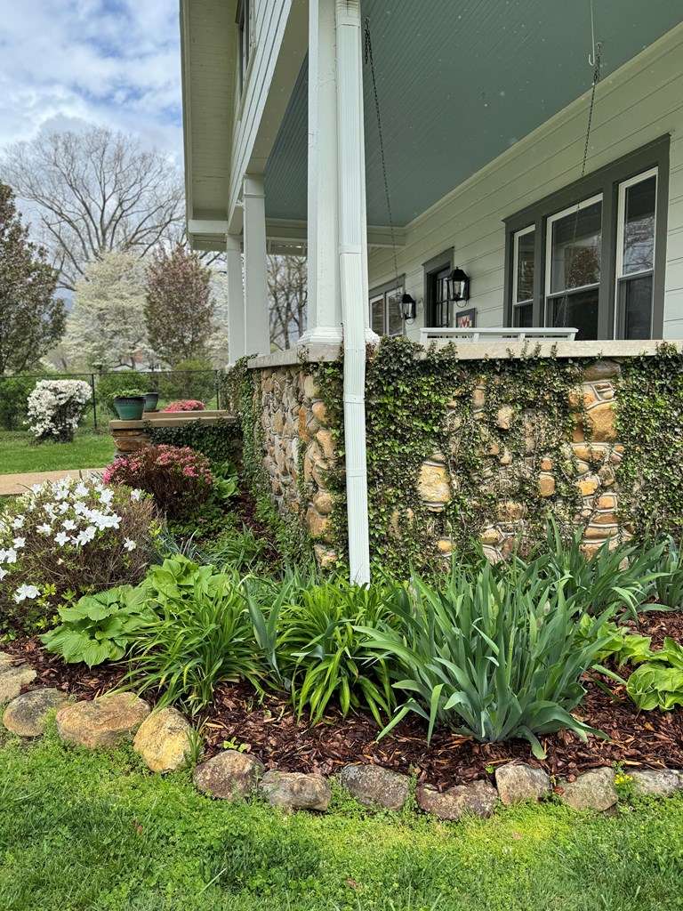 Front landscaping 