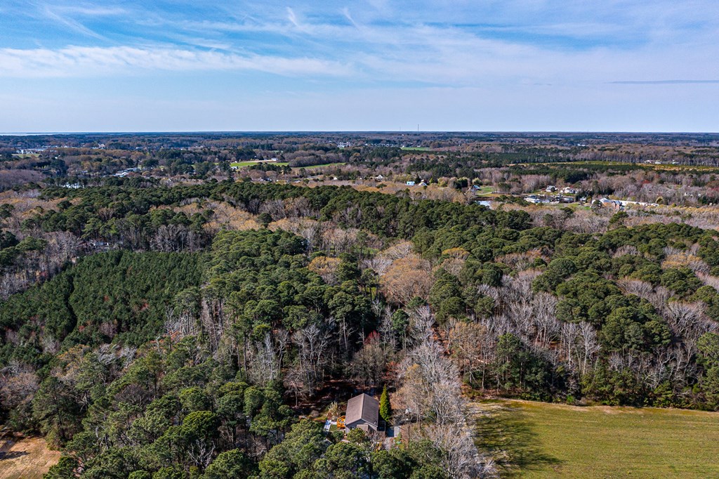 Over 4.2 Acres of Privacy