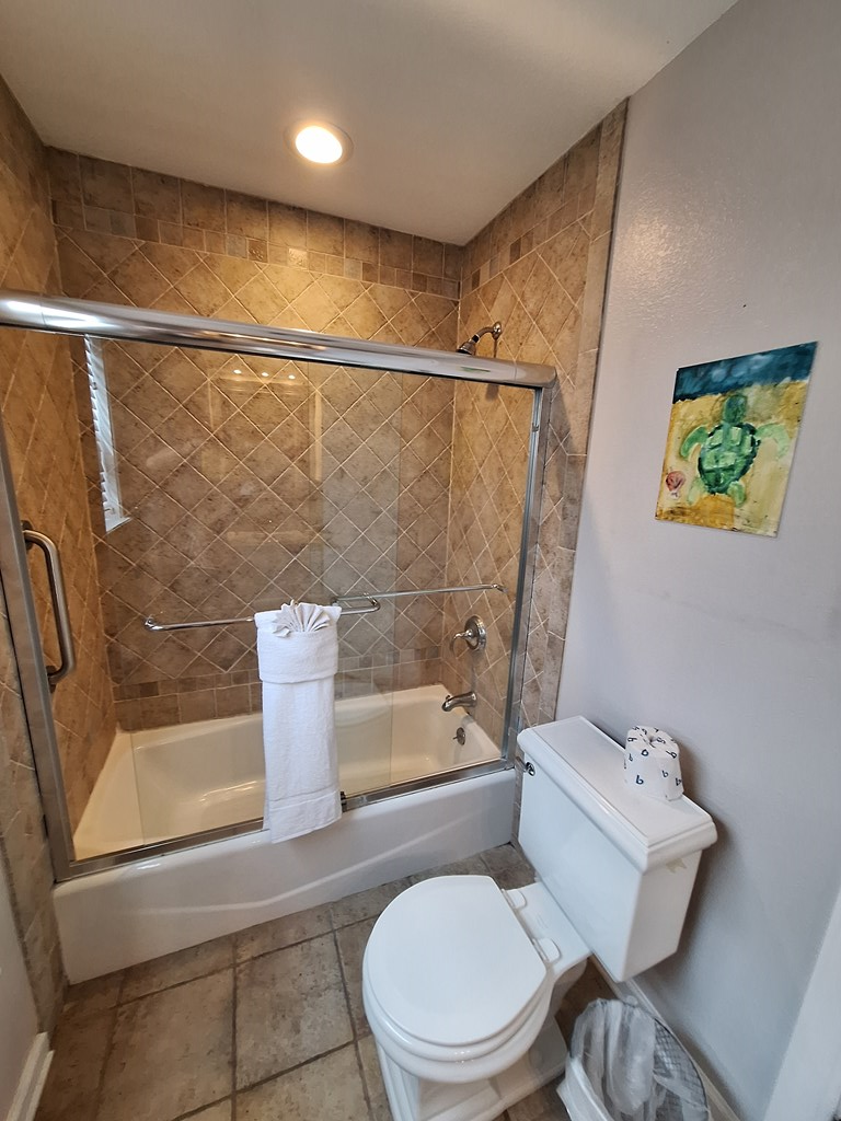 Walk-in shower and toilet