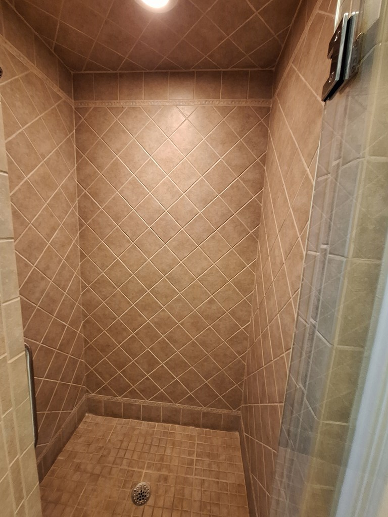 Guest walk in shower