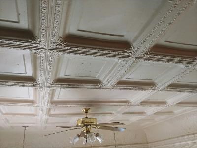 Ornate Delicate Tin Ceiling 1