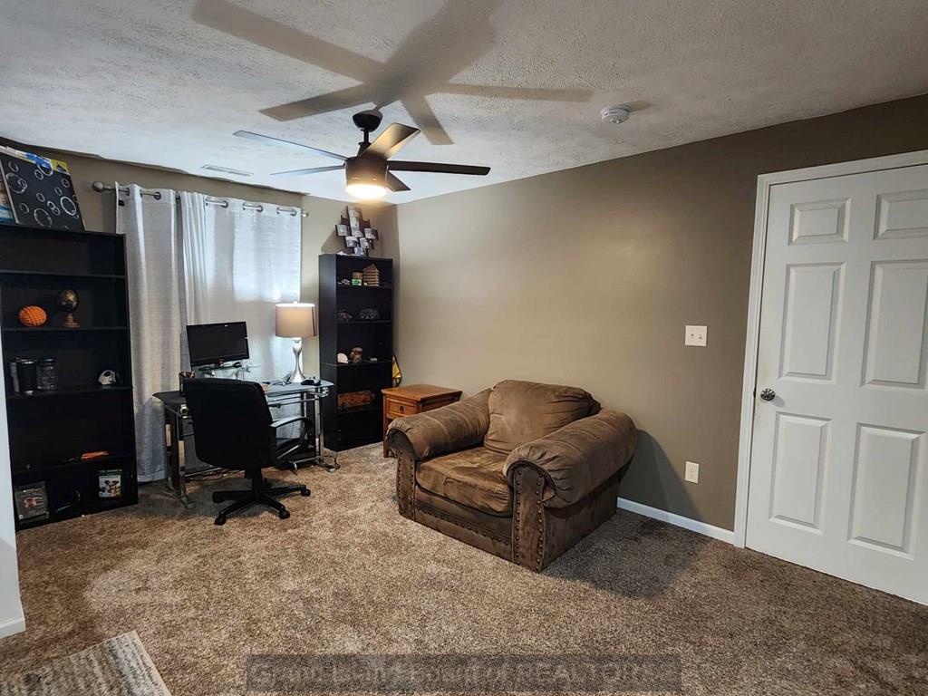 Office area bed in basement