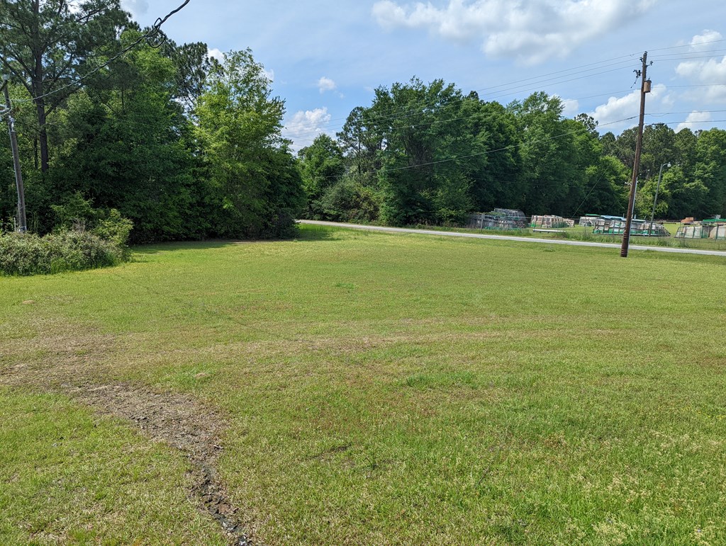Large open tract can meet a variety of needs.