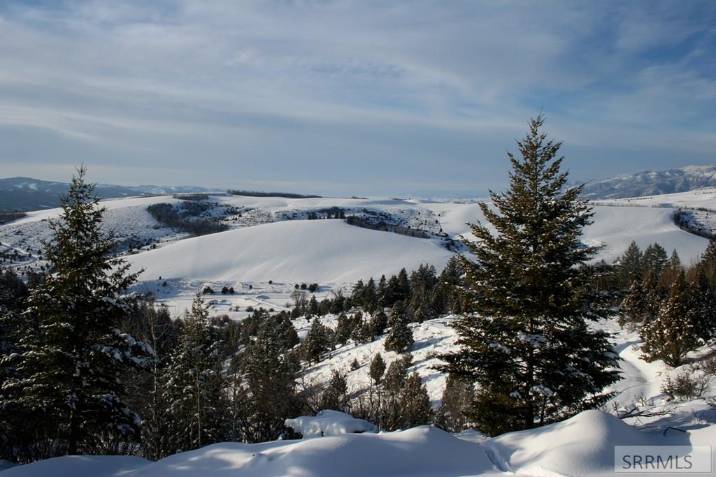Mid-winter views over Palisades Cr Ranch