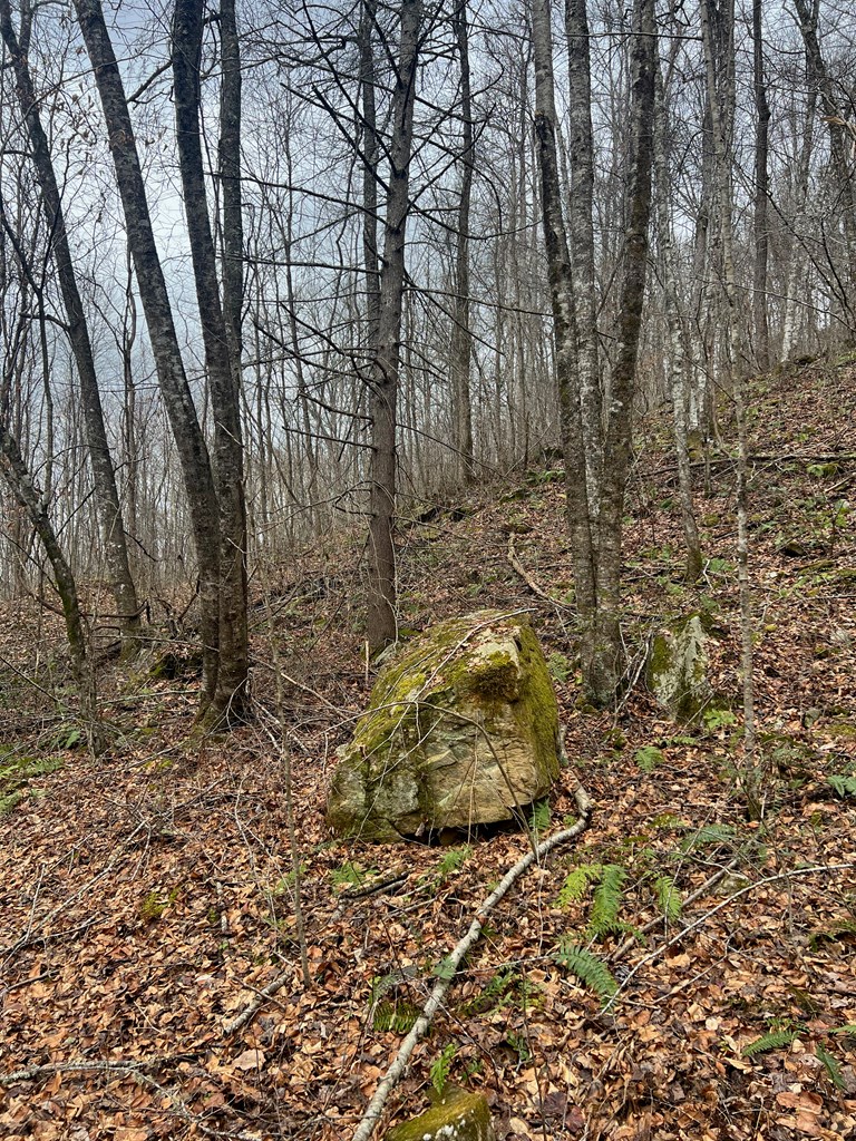 Cool Rocks on the property