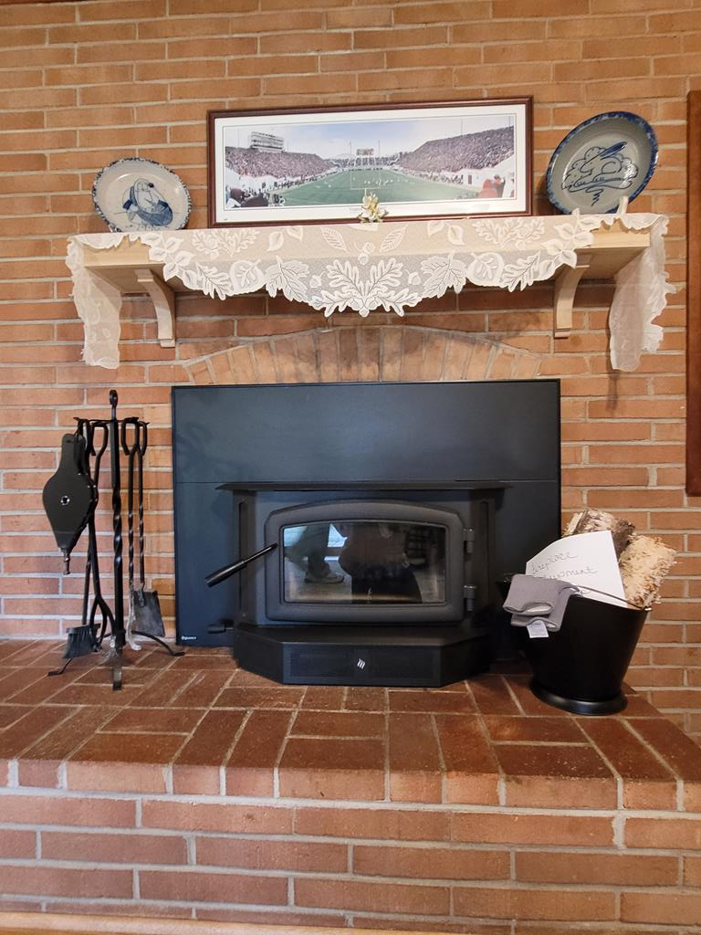 Wood Burning Fireplace with Insert