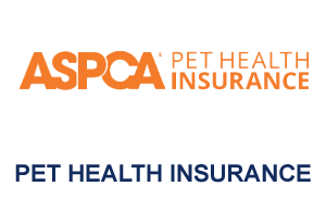 pet insurance