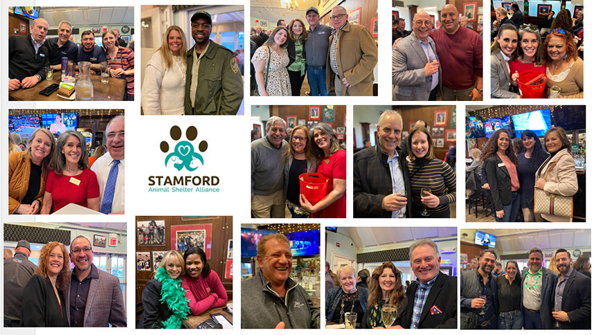 stamford animal shelter alliance