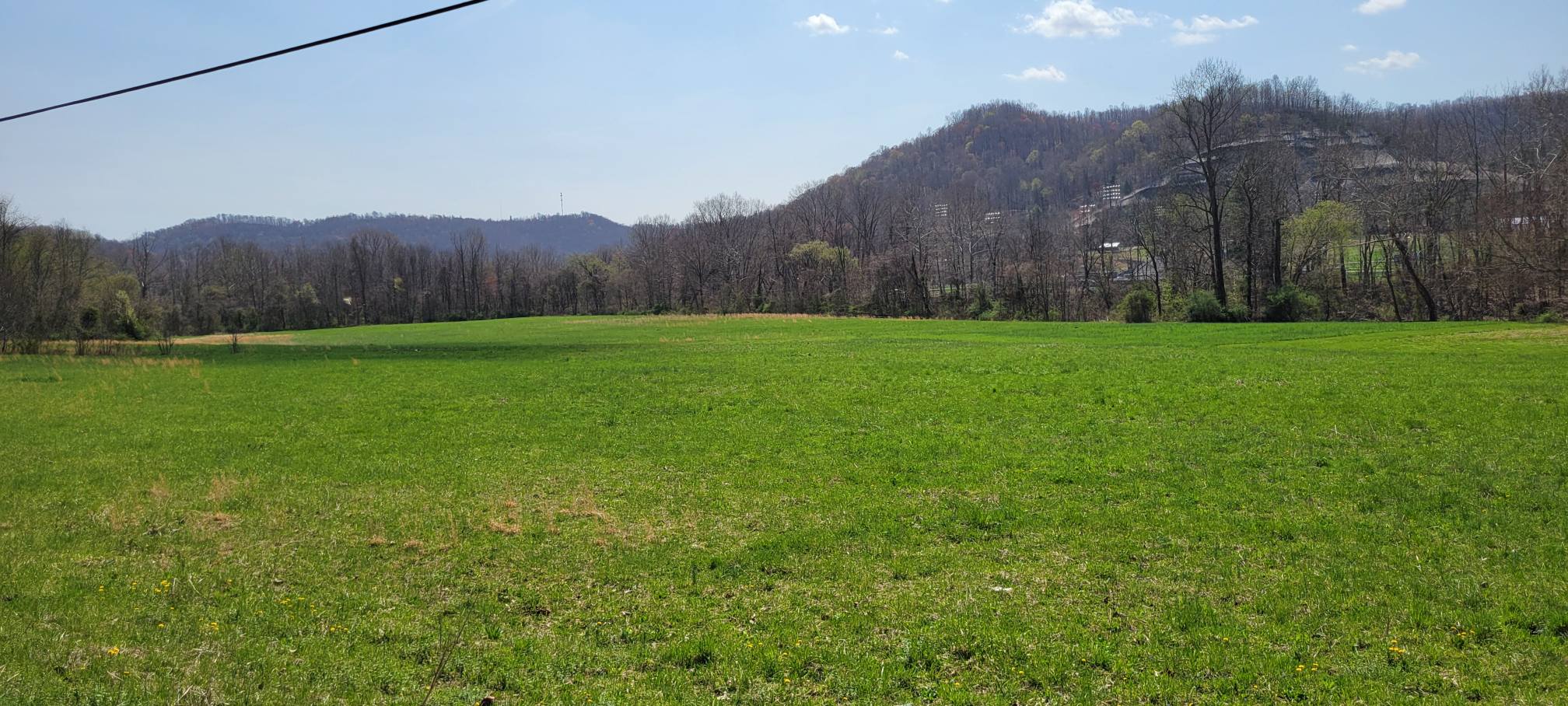 Auction land