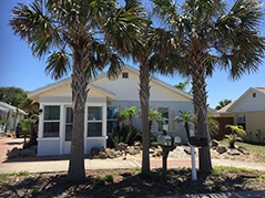 Vacation Rental House with Palm Trees