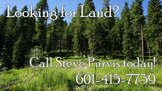 Looking for Land in Vicksburg, Warren County, Port Gibson, or Claiborne County in Central Mississippi? Call Steve Purvis at 601-415-7739 today!