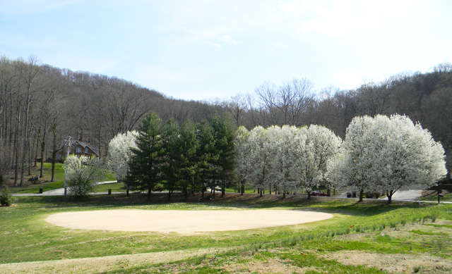 cookeville_white_plains_golf_course_homes.jpg